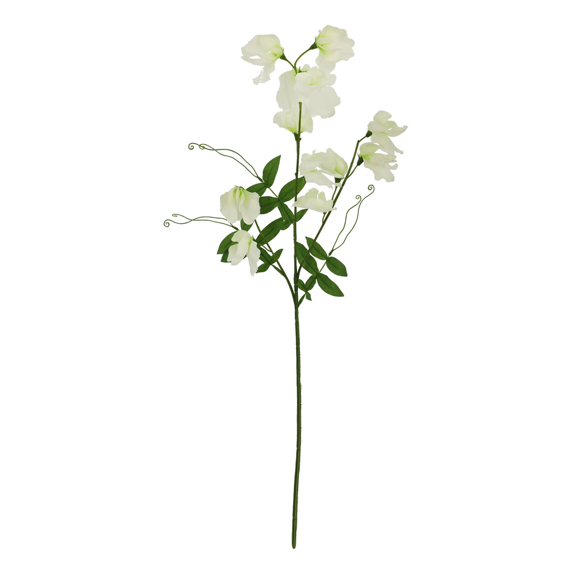 29" White Wisteria Stem by Ashland®